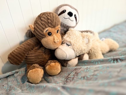 Cute, fluffy and so much more. Warmies are a great alternative to conventional hot water bottles, especially for children.