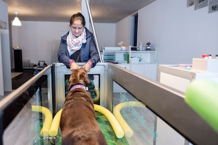 Supergirls don’t cry: Saida gets involved in aquafit with a little bribe.