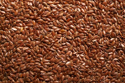 Les graines de lin : Riche en acides gras oméga-3, en protéines et en calcium.
