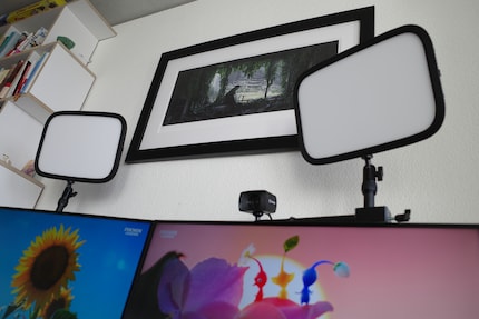 Hinter den Key Lights hängt ein Sammlerstück: Ein streng limitiertes Artwork aus «The Last of Us Part II».