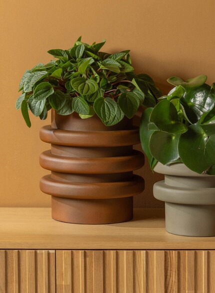 Was in der Mode der Turnschuh mit chunky Sohle ist, ist bei Wohnaccessoires die Vase mit klobiger Form.