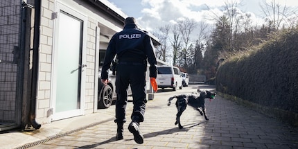 So sieht Arbeitsmotivation aus: Anora am Herumtollen kurz vor Einsatzbeginn.