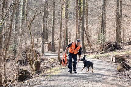Hier bin ich Hund, hier darf ich sein: Diara tollt dem Dienstschluss entgegen.