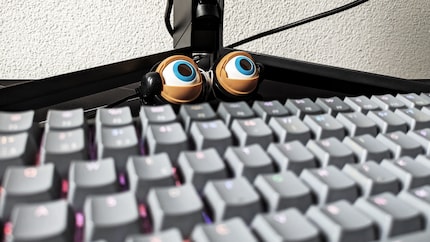 Questi occhietti speciali possono anche ammiccare: li uso raramente nelle videochiamate.