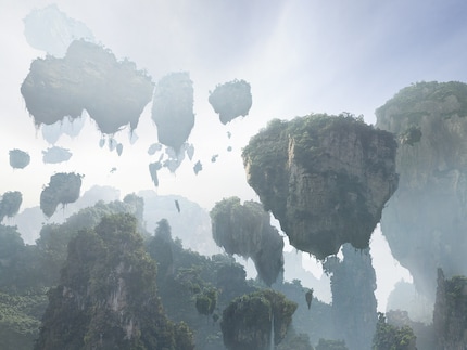 Was war zuerst da? Die Kokedamas oder die Hallelujah-Berge aus «Avatar»?