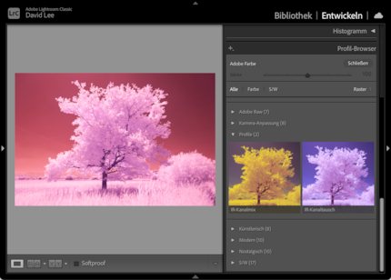 The infrared image in the standard profile. On the right, the preview shows what it would look like with the two infrared profiles.