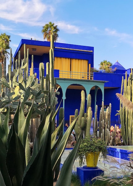 Un point de mire bleu : le Jardin Majorelle à Marrakech.