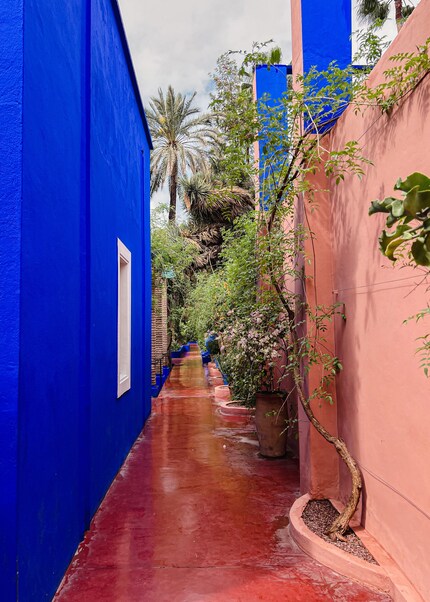 Une flore cohérente : les espèces végétales se répètent aussi dans le Jardin Majorelle.