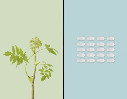 Les images de médicaments et de plantes sont minimalistes et toniques.