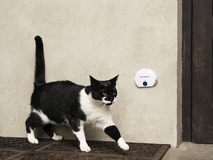 Non appena il gatto si muove davanti al sensore, viene emesso un segnale acustico o luminoso all'interno.