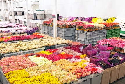 Dis-le avec des fleurs : pour les fleuristes, la fête des mères est, avec la Saint-Valentin, le jour le plus rentable de l'année.