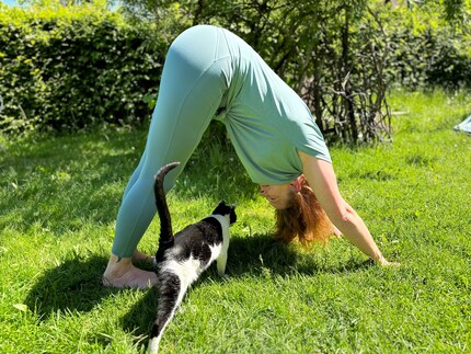Dans le jardin, avec le soleil et la visite du chat, c'est encore plus agréable.