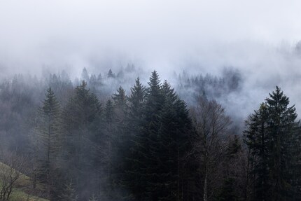 Mystische Stimmung am Morgen in Maria Rickenbach