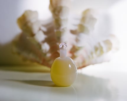 «Dangerous Pleasures» è un olio di profumo floreale e cipriato.