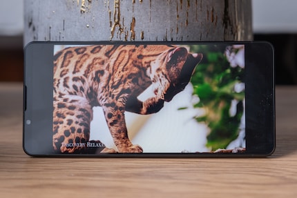 Il Sony Xperia 1 VI non ha più il tipico formato film.