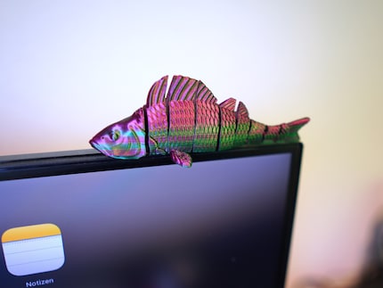 Fischdeko aus dem 3D-Drucker – gab es an der  Schweizer Sportfischer Messe zu kaufen.