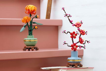 Les deux nouvelles plantes de Lego conviennent pour décorer votre maison.