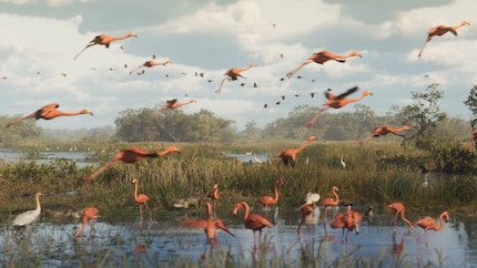 So viele Tiere auf einmal! Die Natur in «GTA VI» sieht fantastisch aus.