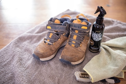 In addition to the shampoo, you’ll need a cloth and a brush or sponge.