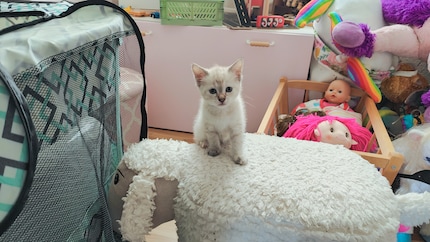 ... um mich kurz darauf so anzugucken, als könnte er kein Wässerchen trüben, der kleine Scheisser.
