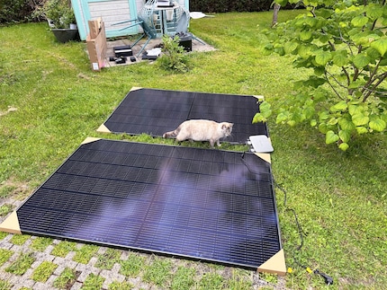 Déploiement sur la pelouse devant l'abri de jardin. Le chat Mira n'en fait pas partie.