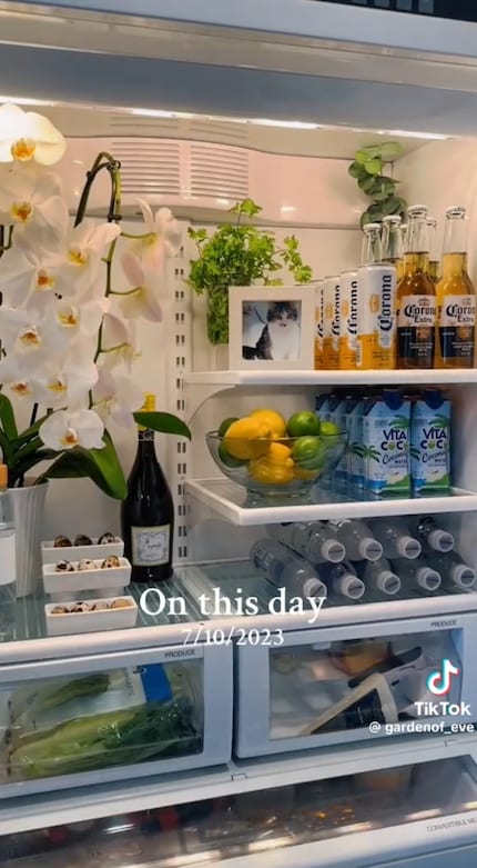 Des influenceuses comme Tiffany Bishop, Lynzi Judish et Eve Scampoli mettent en avant le « fridgescaping ».