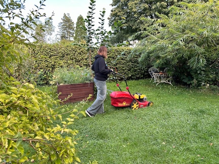 Doppelt effektiv: Beim Rasenmähen hüpft mein Schrittzähler vor Freude und ich schiebe den Teil der Gartenarbeit nicht weiter vor mir her.