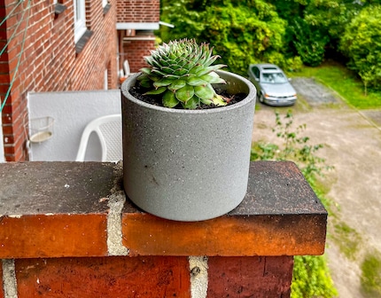 Because clay pots are heavier, I prefer using them in exposed places, such as on the balcony wall. If I did the same with the Elho pots, they’d probably blow away.