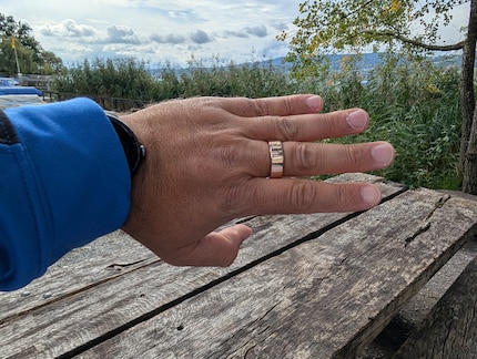 La bague ne semble pas aussi qualitative que d'autres modèles.