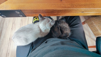 ... car nous devons dormir maintenant.