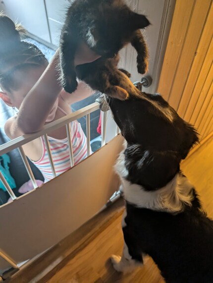 Wanda fait la connaissance de Mia, la chienne des vacances.