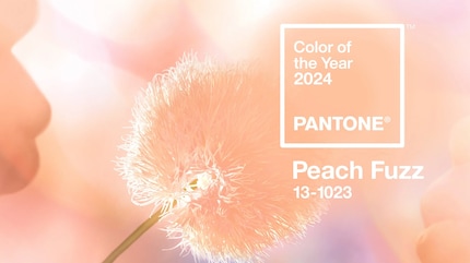Pantone présente chaque année la « couleur de l’année ». Pour 2024, c’est « peach fuzz ».
