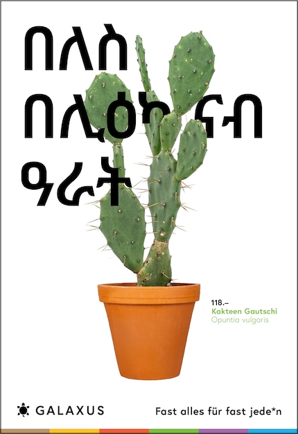 Tigrinisch (Eritrea)
