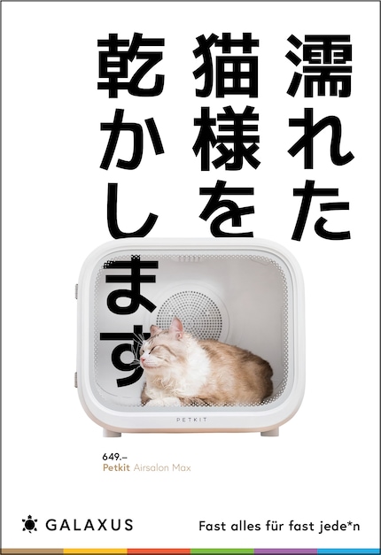 Japanisch (Japan)
