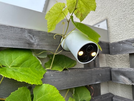 La seconda telecamera Tapo sorveglia il mio giardino. La mimetizzazione sotto le foglie di vite è da migliorare.