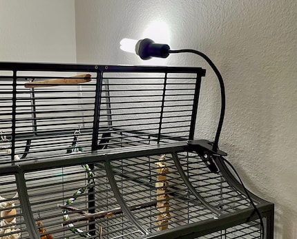 La mia lampada UV è un progetto «fai da te» perché l'apertura della mia gabbia si trova in alto e avevo quindi bisogno di una soluzione flessibile. In genere però, le lampade UV si avvitano al tetto della gabbia.