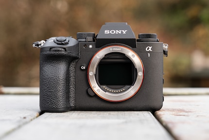 Rapide, haute résolution et pourtant compact, le Sony Alpha 1 II offre tout cela à la fois. Seul son prix me semble difficile à digérer dans le contexte actuel du marché.