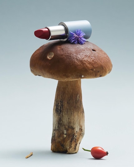 Una delle immagini del servizio fotografico sugli ingredienti di Sophia: l'acido ialuronico di questo rossetto è estratto dai funghi.
