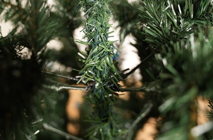C'est le tronc de l'arbre de RS Trade. Vous pouvez voir le mécanisme de pliage des branches. Et vous voyez comment le tronc a été simplement enveloppé de PVC vert.