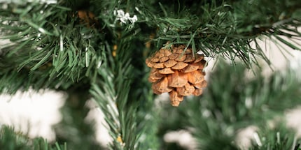 Les vraies pommes de pin embellissent le sapin Tectake.