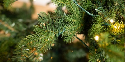 STT adopte une double stratégie : des branches moulées par injection et des branches en film à paillettes sont présentes sur l'arbre.