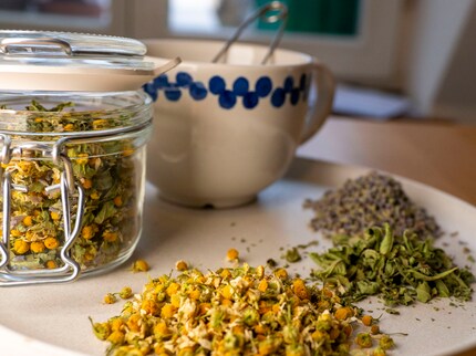 Die gelben Blüten der Kamille und die violetten des Lavendels ergeben ein wunderschönes Farbenspiel.