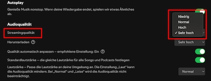 Hast du maue Netzabdeckung kannst du Spotify die Qualität ad hoc verringern lassen.