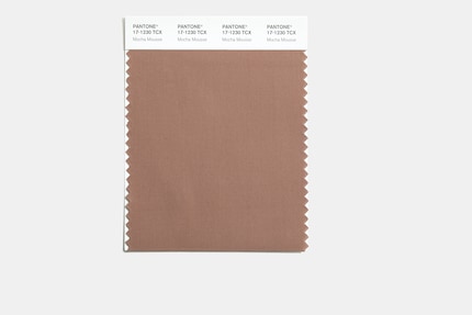 «Mocha Mousse»: il colore Pantone dell'anno 2025.