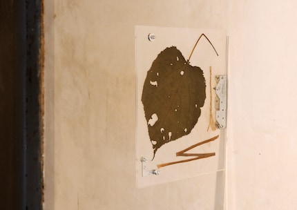 Una vera e propria dichiarazione di stile: questa esposizione mette in gioco una dinamica inaspettata. Idea di: N.A.S.A.L.