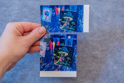 Il risultato è paragonabile alla Polaroid, anche se le immagini Kodak sono un po' più scure.