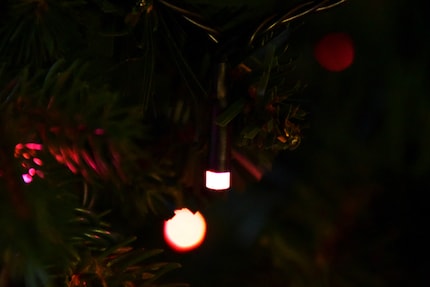 Grazie al loro semplice aspetto, le lucine possono continuare a splendere anche dopo Natale.