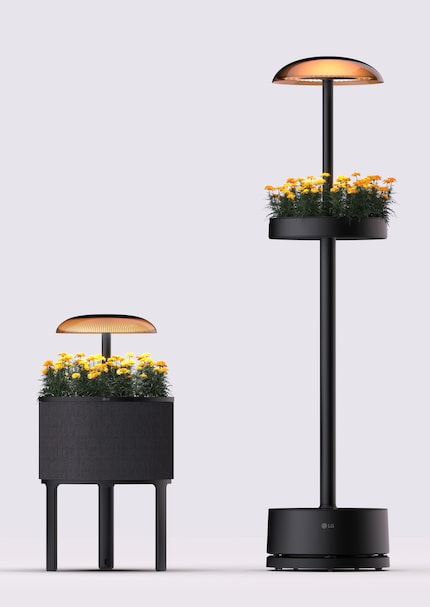 LG ha presentato due varianti della lampada verde.