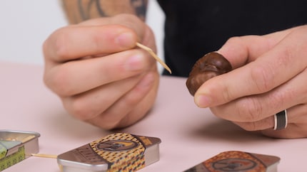 So wird das nix mit dem Kastanienigel.