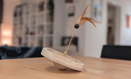 Une idée cool en soi qui réunit une plume, une surface à gratter et un circuit de billes. Reste à voir si ça plaira également à mes petits félins.